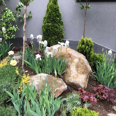 Seasons Design - Free Parking