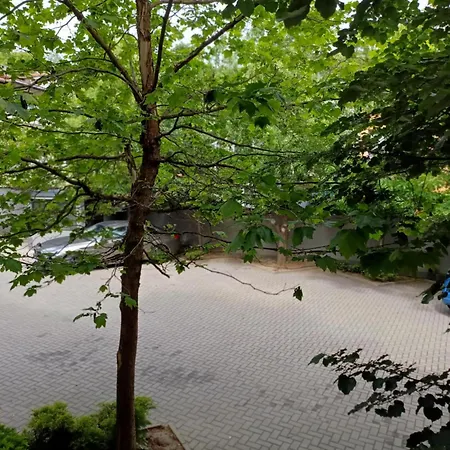 Seasons Design - Free Parking מלון 5*